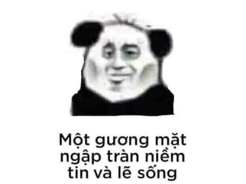 Tổng hợp 100 meme gấu trúc hài hước, hóm hỉnh và cực kỳ bá đạo