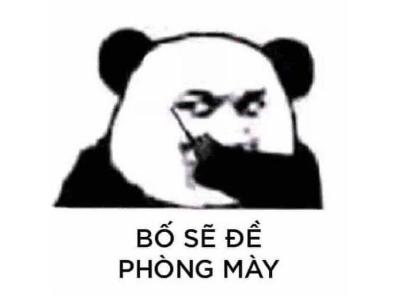 Tổng hợp 100 meme gấu trúc hài hước, hóm hỉnh và cực kỳ bá đạo